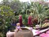 Click to view "DSCN4267.jpg" at full size